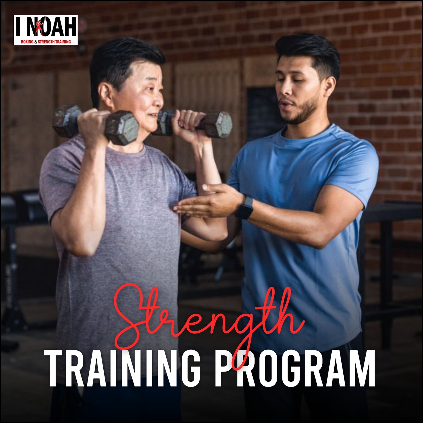 Bulking / Strength Training Program